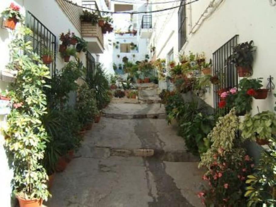Boutique Style Apartment In Velez De Benaudalla - Near Salobrena Exterior foto
